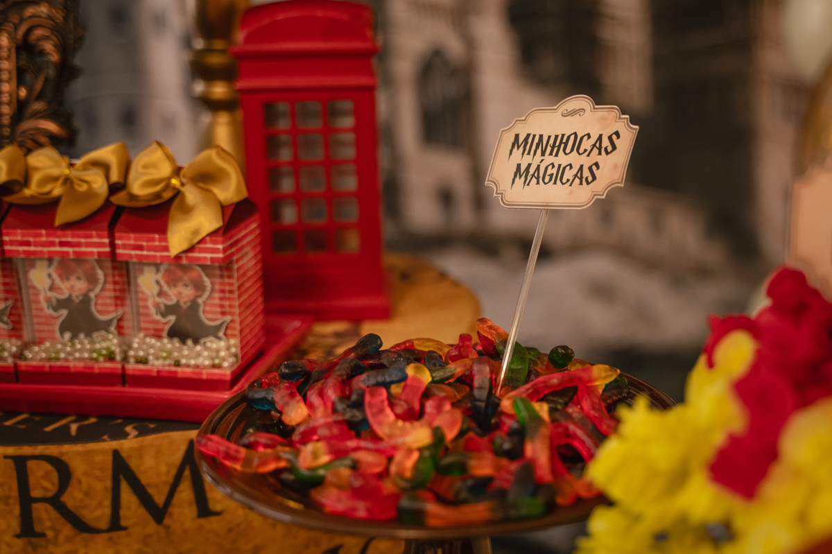 aniversário - festa infantil - harry portter