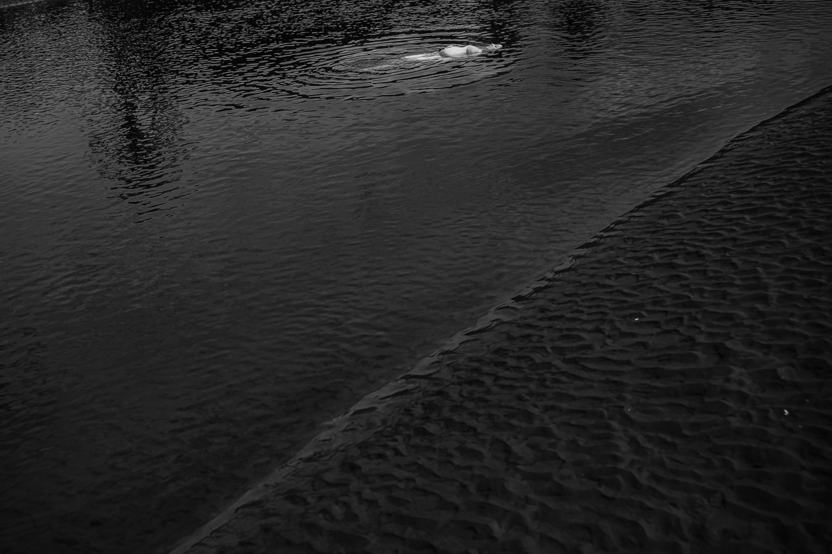 ensaio de gestante, gestar, ensaio de casal, praia, nascer do sol