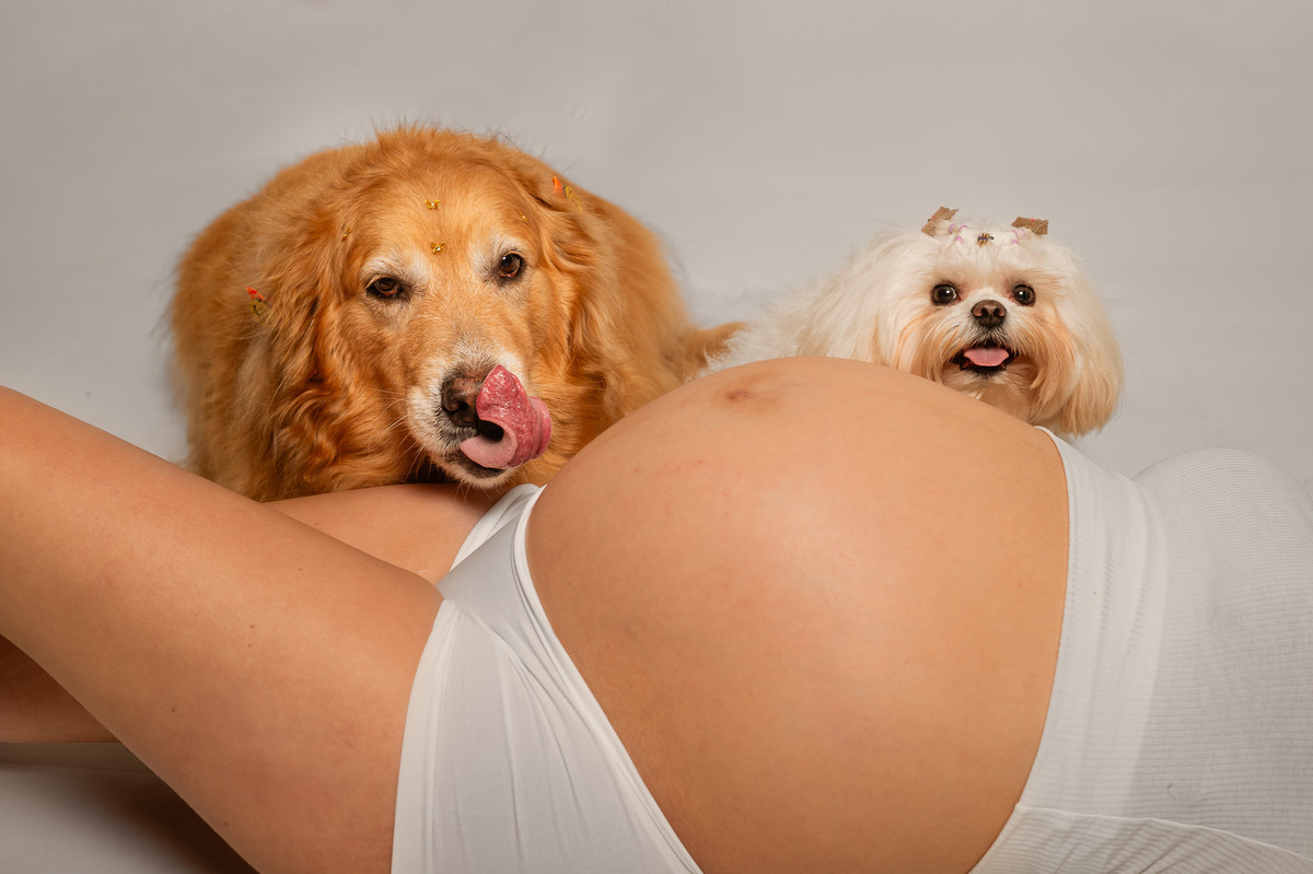 ensaio de gestante em estúdio