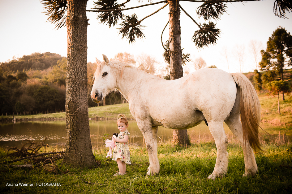 criança com cavalo