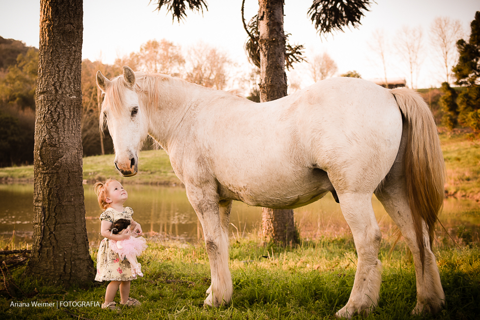 criança com cavalo