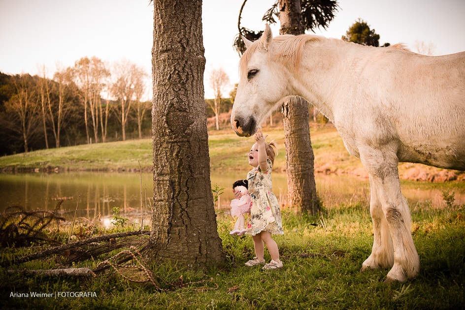 criança com cavalo