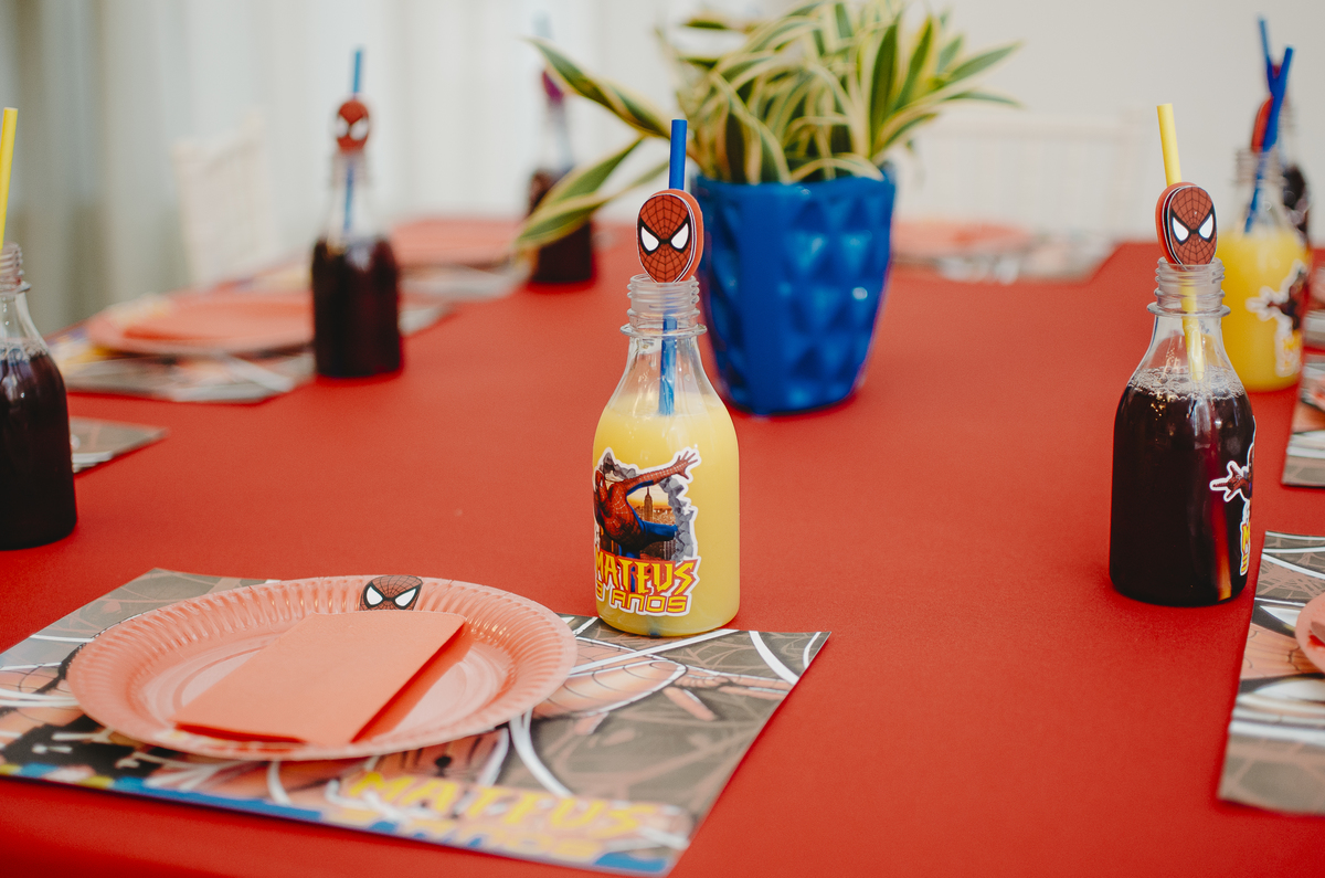 festa infantil homem aranha uberlandia