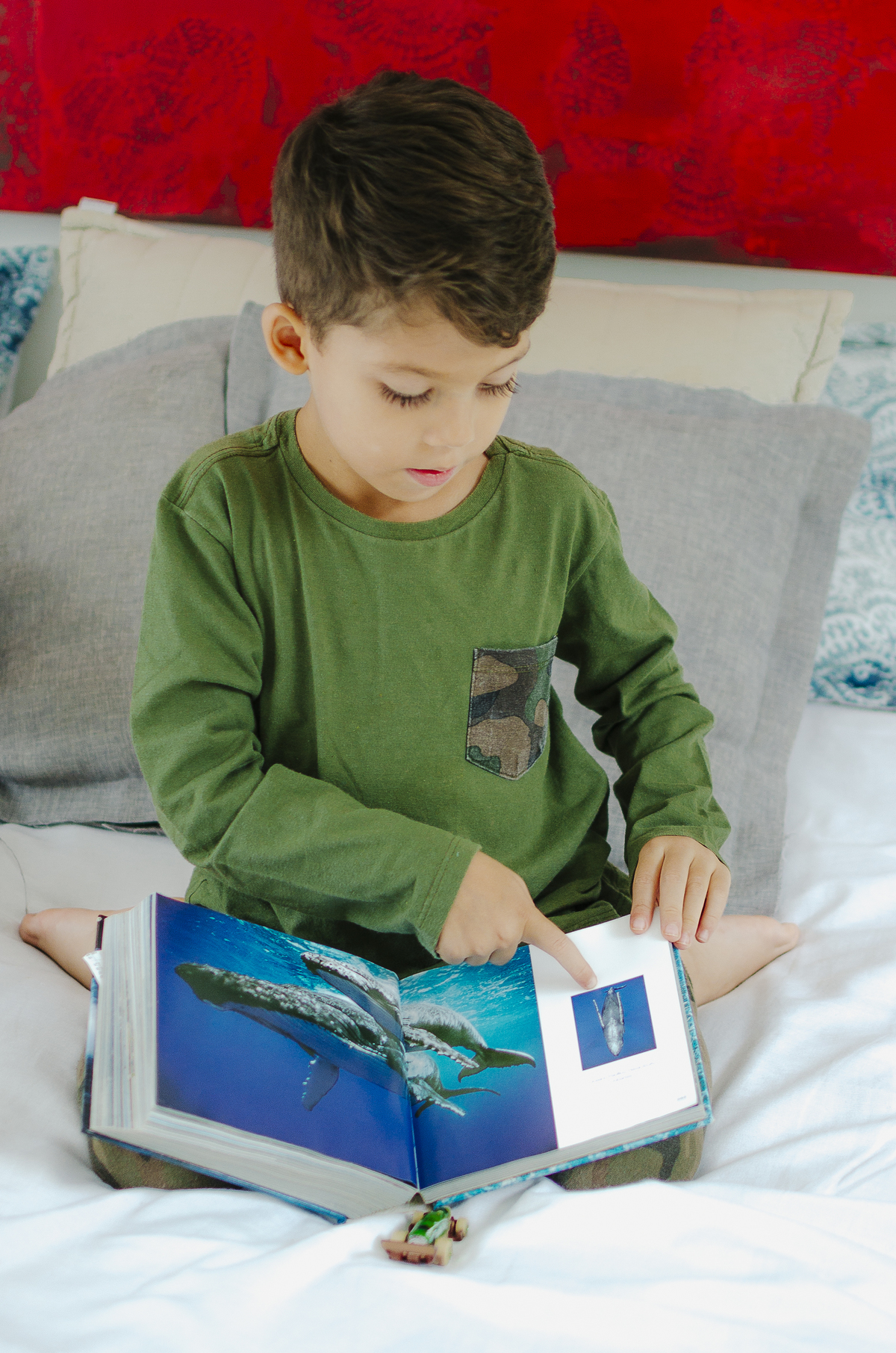 Ensaio em família uberlândia