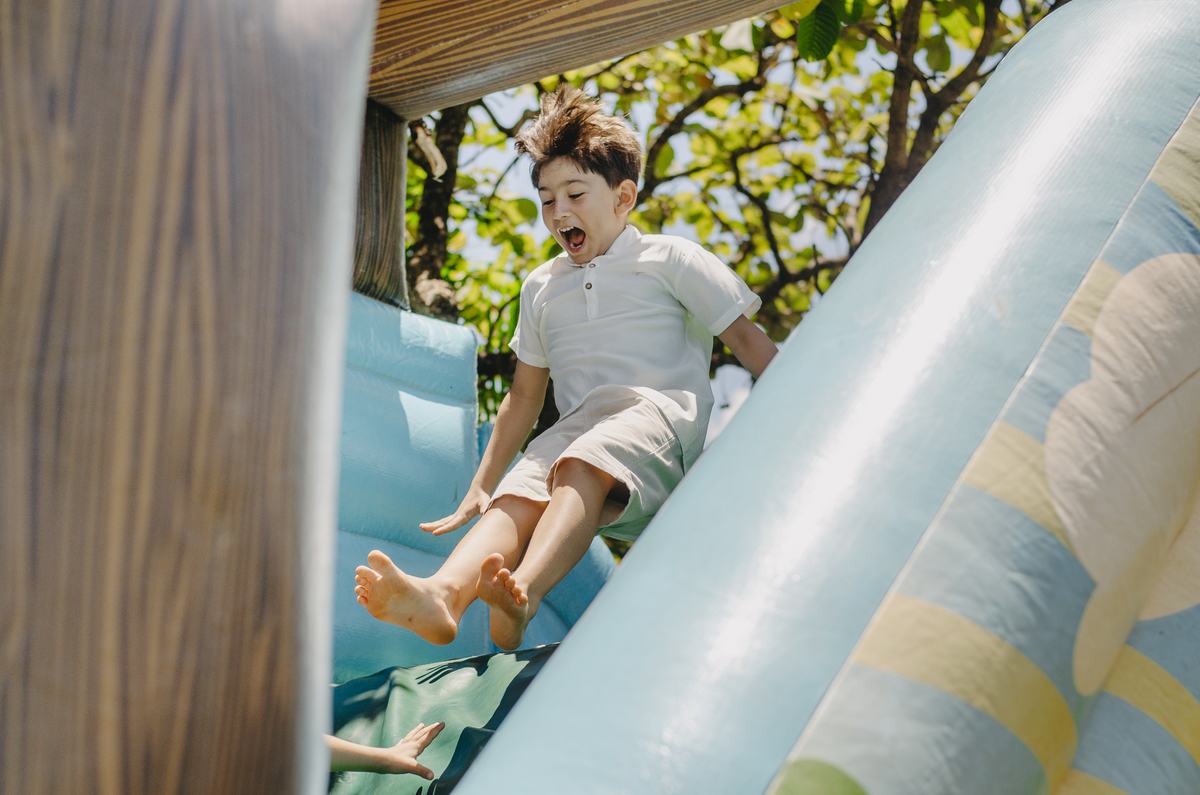 festa infantil uberlandia tema dinossauro chácara