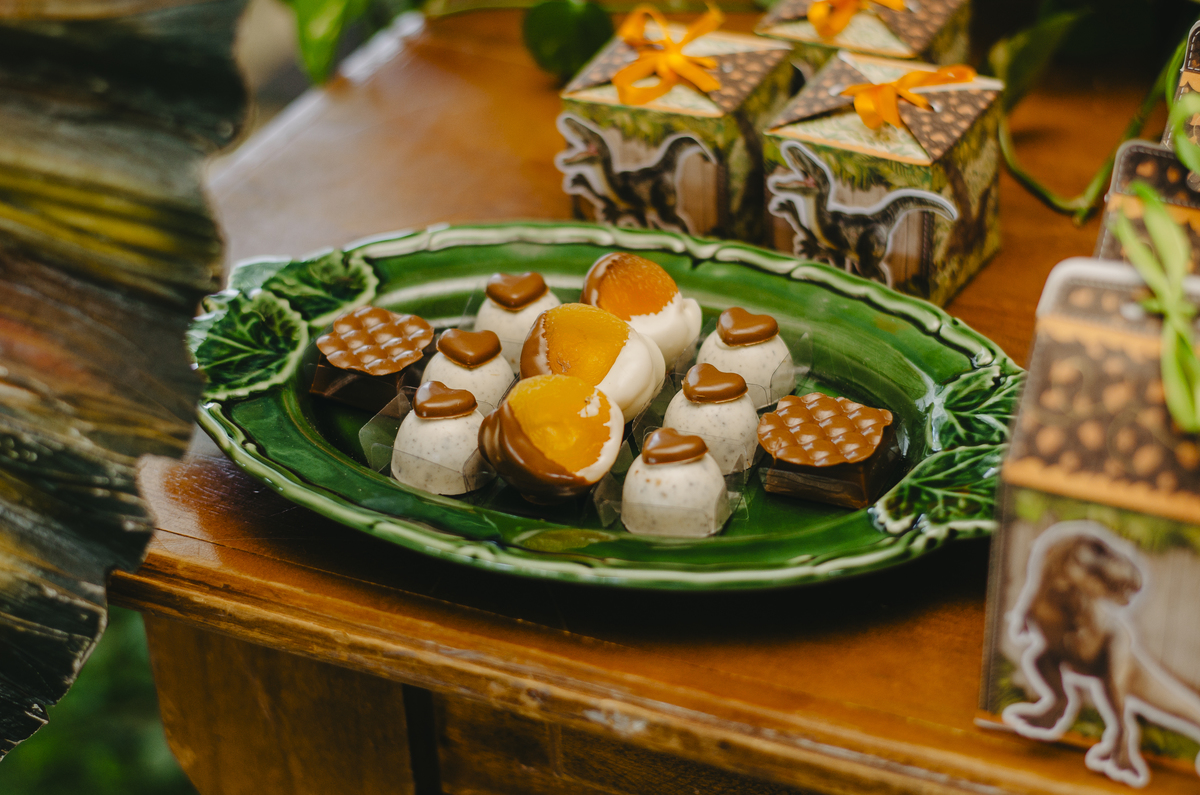 festa infantil uberlandia tema dinossauro chácara