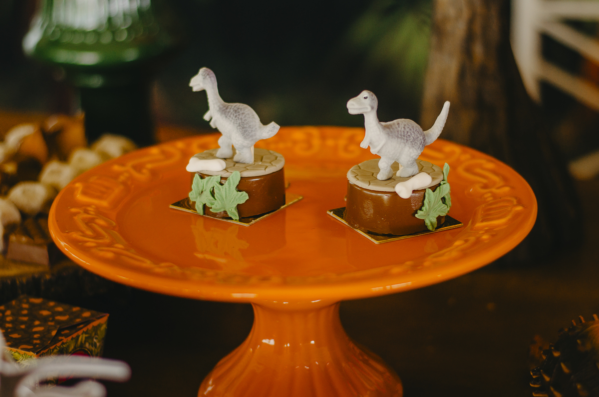 festa infantil uberlandia tema dinossauro chácara