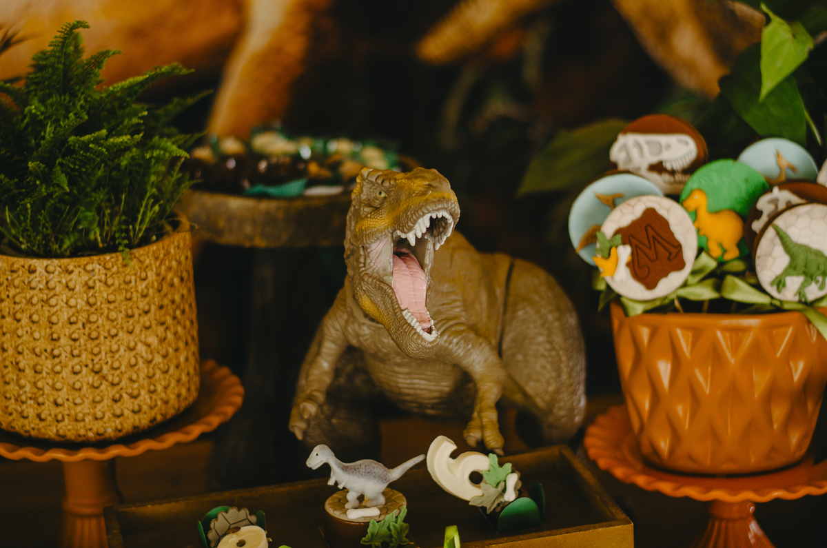 festa infantil uberlandia tema dinossauro chácara