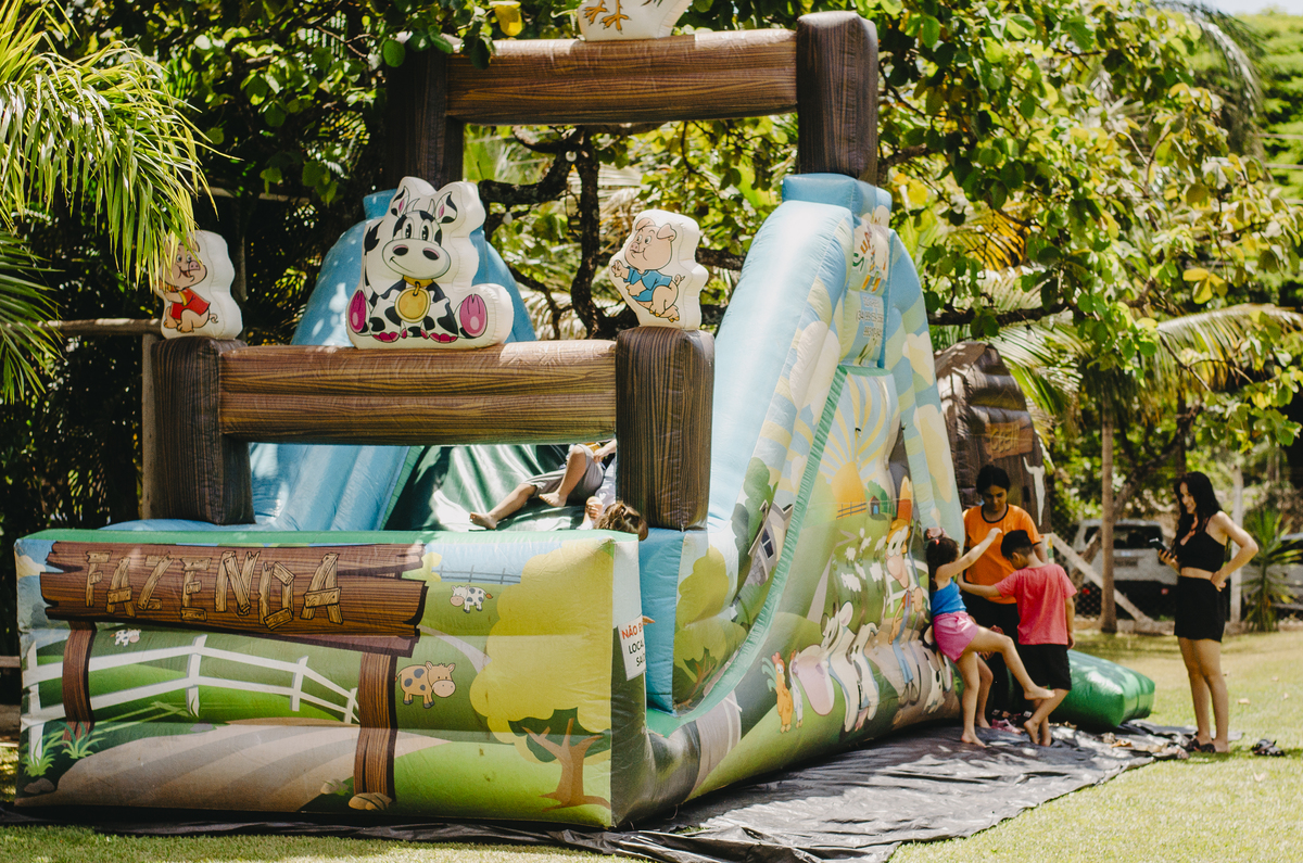 festa infantil uberlandia tema dinossauro chácara