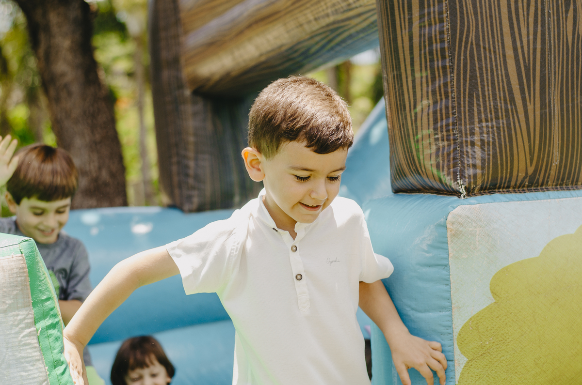 festa infantil uberlandia tema dinossauro chácara