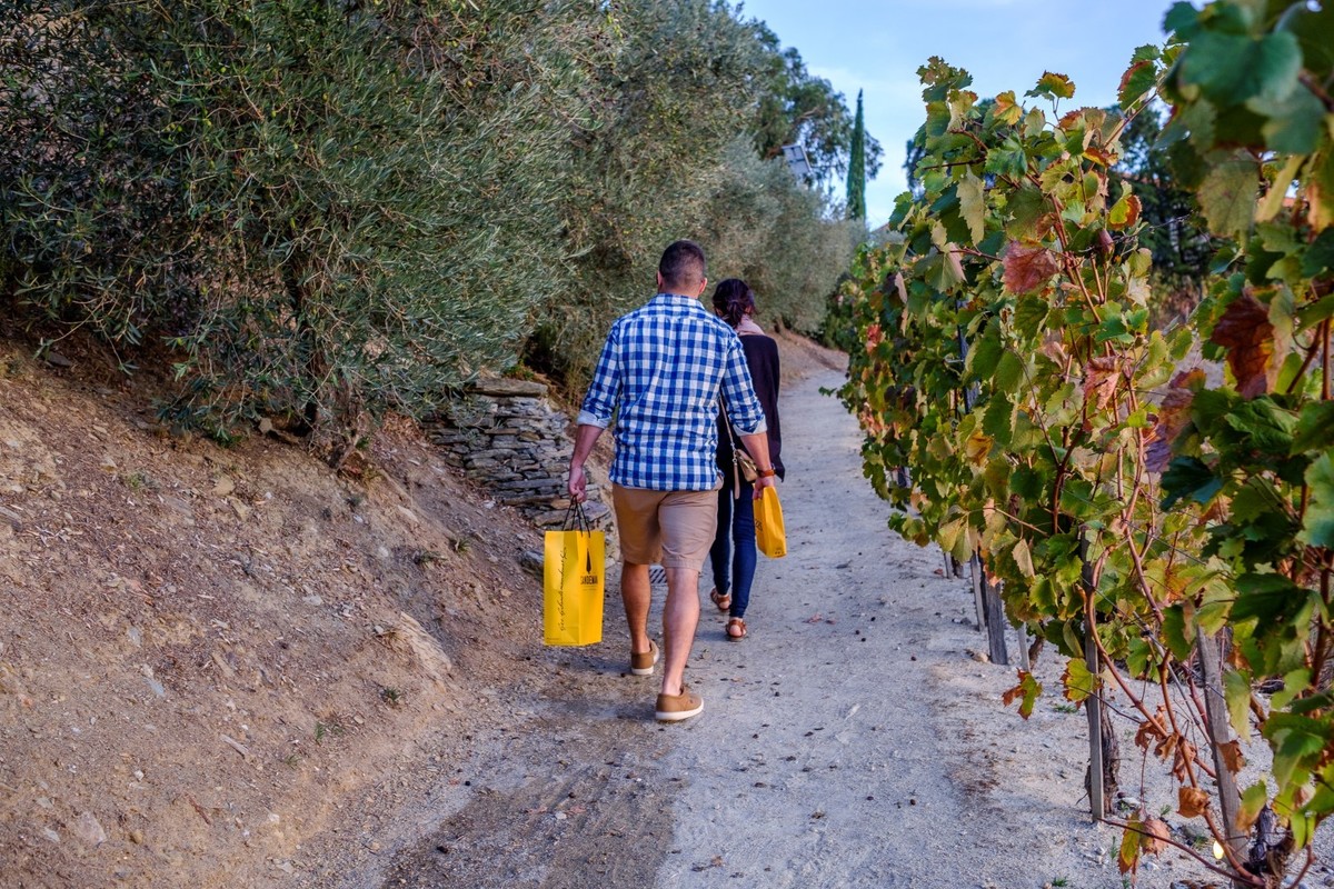 fotografia braga quinta do seixo sandeman fotografos em braga para batizados casamentos