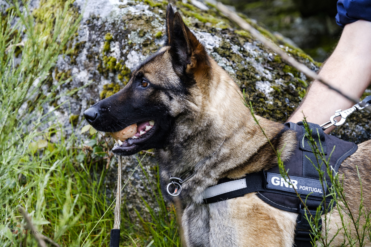 Melhor Fotógrafo braga barcelos guimarães porto fotojornalismo melhor fotografo braga  bombeiros voluntários povoa de lanhoso Inem fotoreportagem braga fotografo batizado familia criança braga