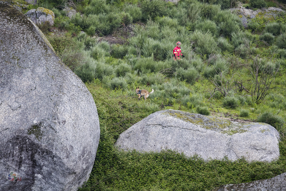 Melhor Fotógrafo braga barcelos guimarães porto fotojornalismo melhor fotografo braga  bombeiros voluntários povoa de lanhoso Inem fotoreportagem braga fotografo batizado familia criança braga