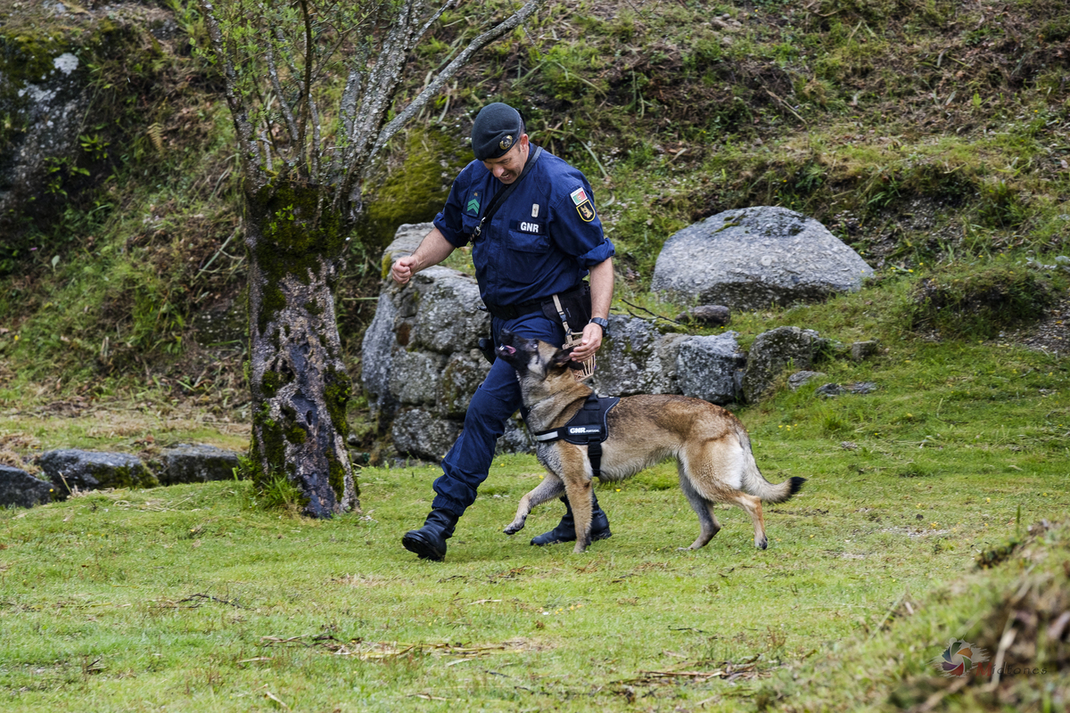 Melhor Fotógrafo braga barcelos guimarães porto fotojornalismo melhor fotografo braga  bombeiros voluntários povoa de lanhoso Inem fotoreportagem braga fotografo batizado familia criança braga