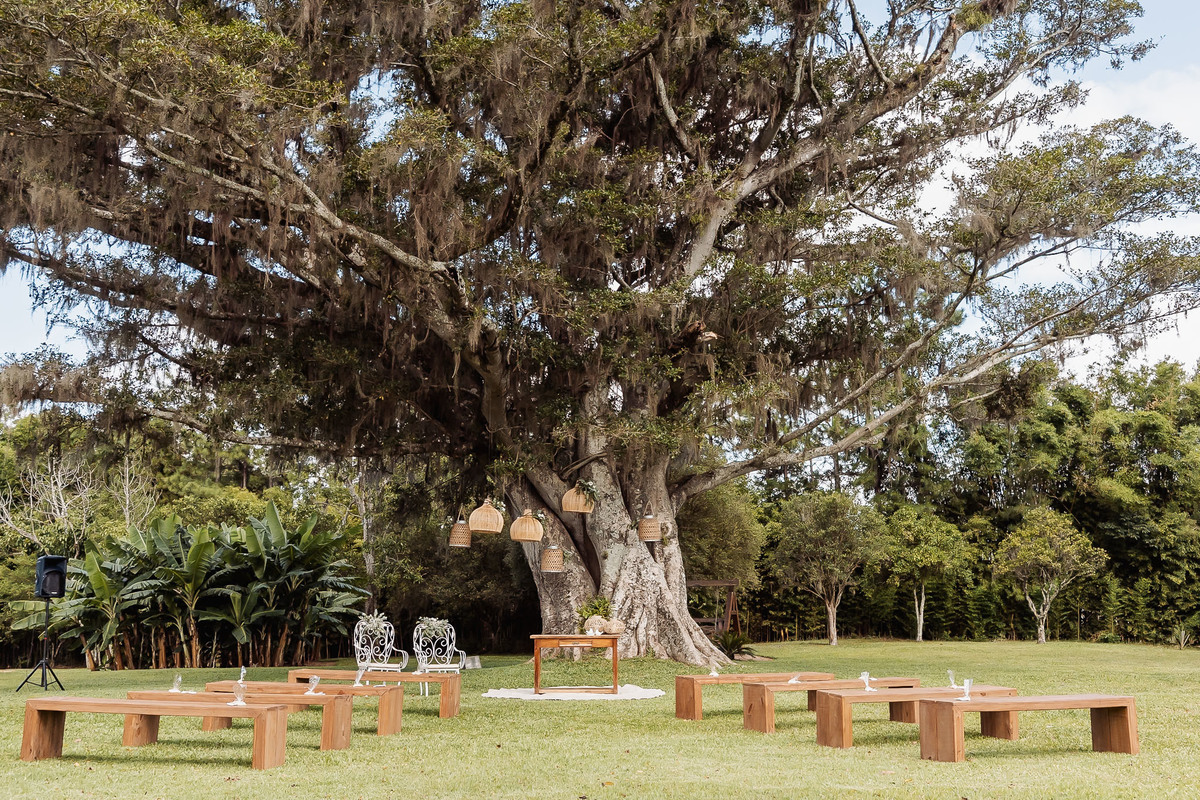 Mini-wedding realizado na Alameda da Figueira em Cachoeirinha/RS, com clima intimista, luz natural e detalhes que valorizam a atmosfera romântica do evento
