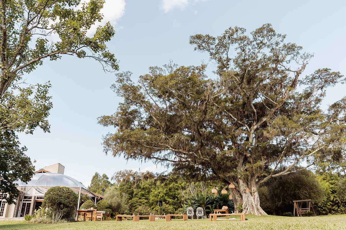 Mini-wedding realizado na Alameda da Figueira em Cachoeirinha/RS, com clima intimista, luz natural e detalhes que valorizam a atmosfera romântica do evento
