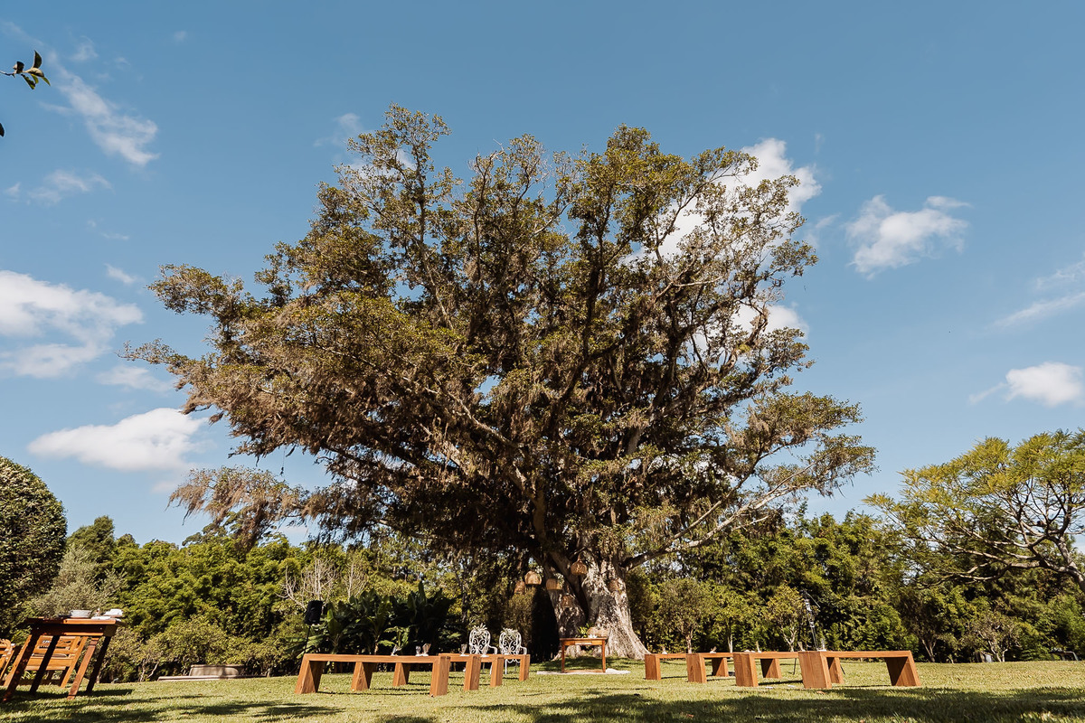 Mini-wedding realizado na Alameda da Figueira em Cachoeirinha/RS, com clima intimista, luz natural e detalhes que valorizam a atmosfera romântica do evento