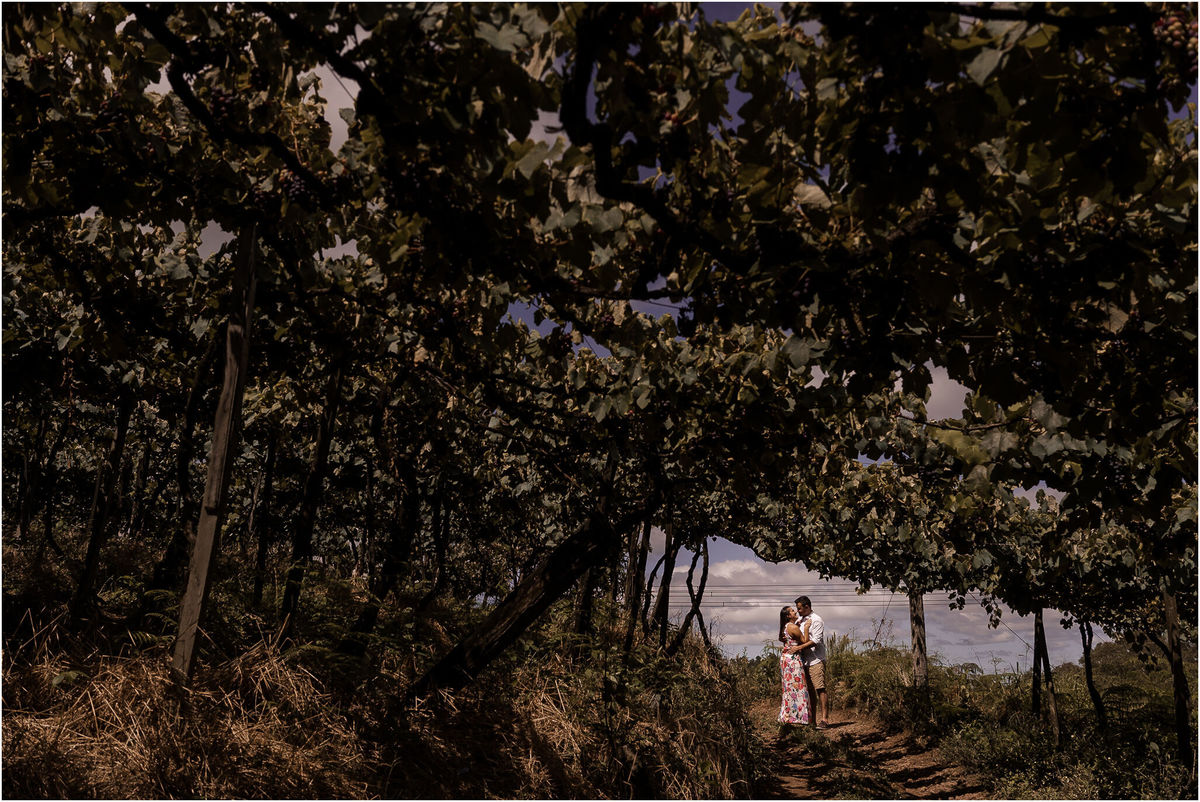 fotografo de casamentos porto alegre, fotografo de casamentos caxias do sul, ensaio de casal na vinicola, ensaio pré-casamento vinhedos, casal que se ama, fotografia de casamento, ensaio casal na serra gaucha, fabricio souza fotografo, ensaio criativo