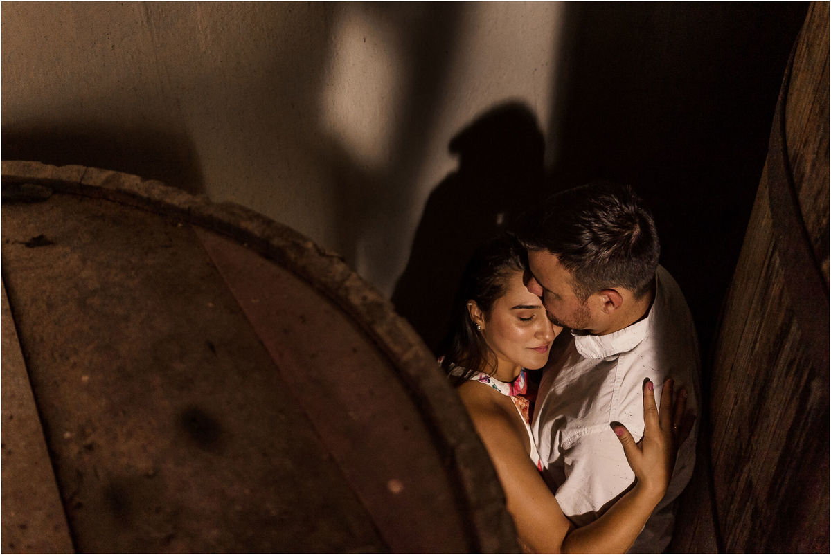 fotografo de casamentos porto alegre, fotografo de casamentos caxias do sul, ensaio de casal na vinicola, ensaio pré-casamento vinhedos, casal que se ama, fotografia de casamento, ensaio casal na serra gaucha, fabricio souza fotografo, ensaio criativo