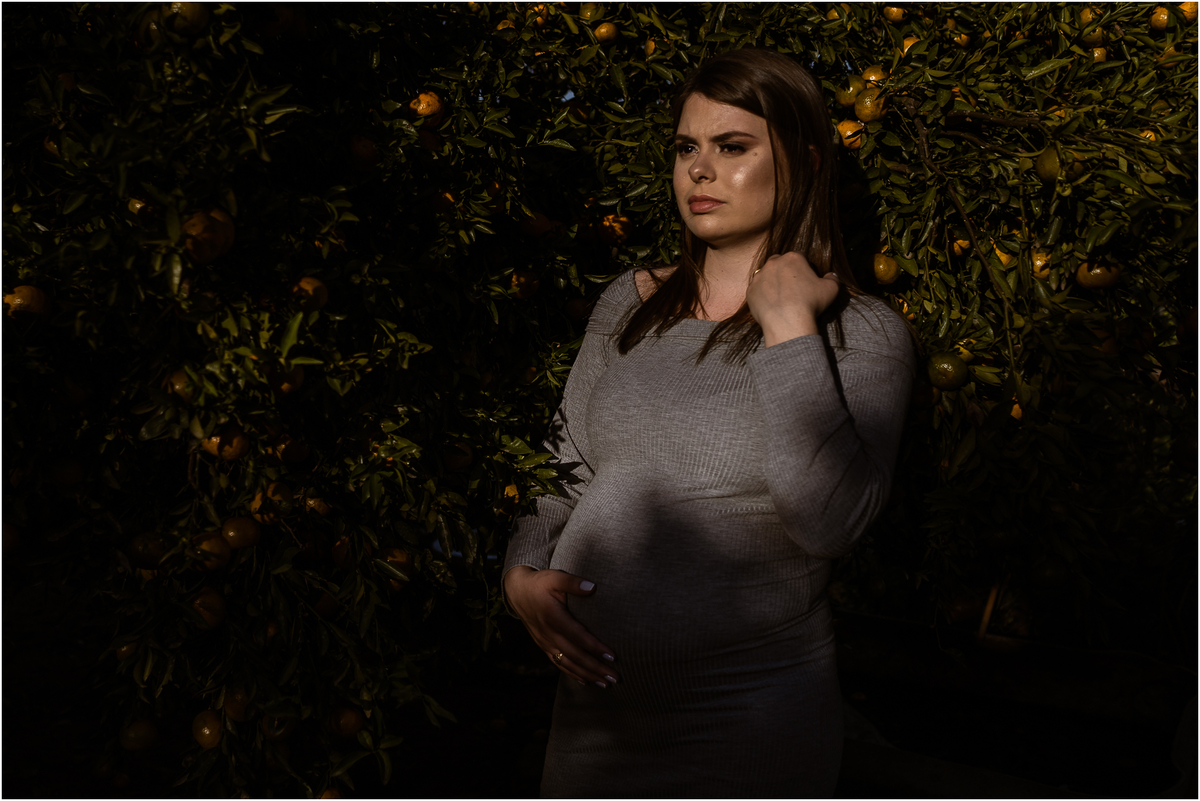 ensaio de família, fotos de família, ensaio gestante no sitio da família, Fabricio Souza fotografia, fabricio Sousa, papai feliz, bebe a bordo, maninho 