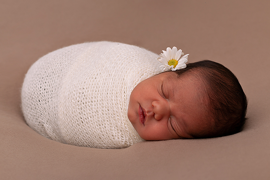 Foto de recém-nascida enroladinha e deitada em um poof com margarida na orelha. Em estúdio Newborn em Natal RN.