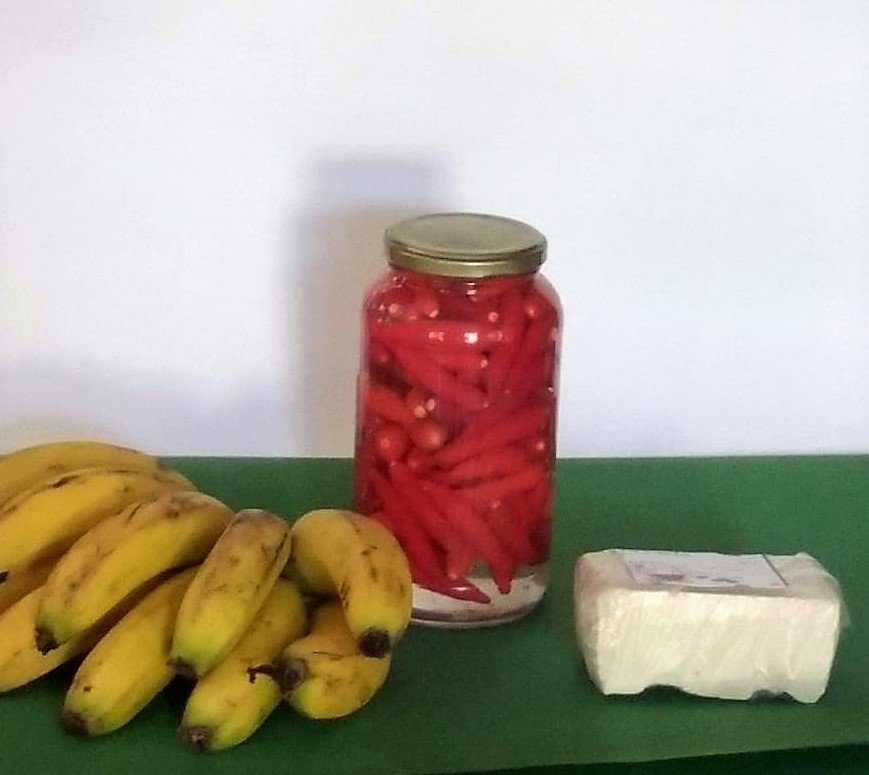 Resultados: Foto feita pela Glaucia