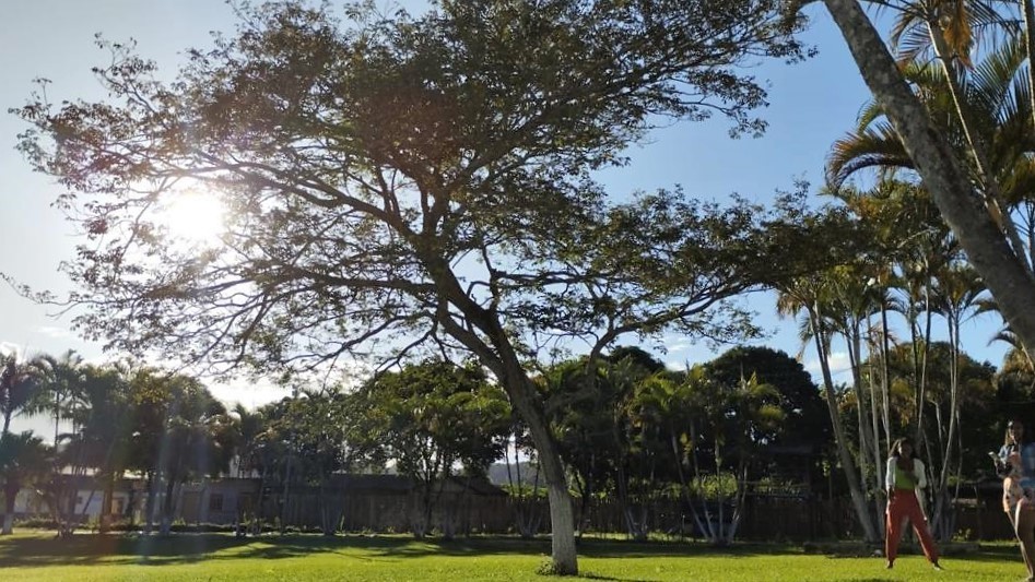 Resultados: Foto feita pela Luana