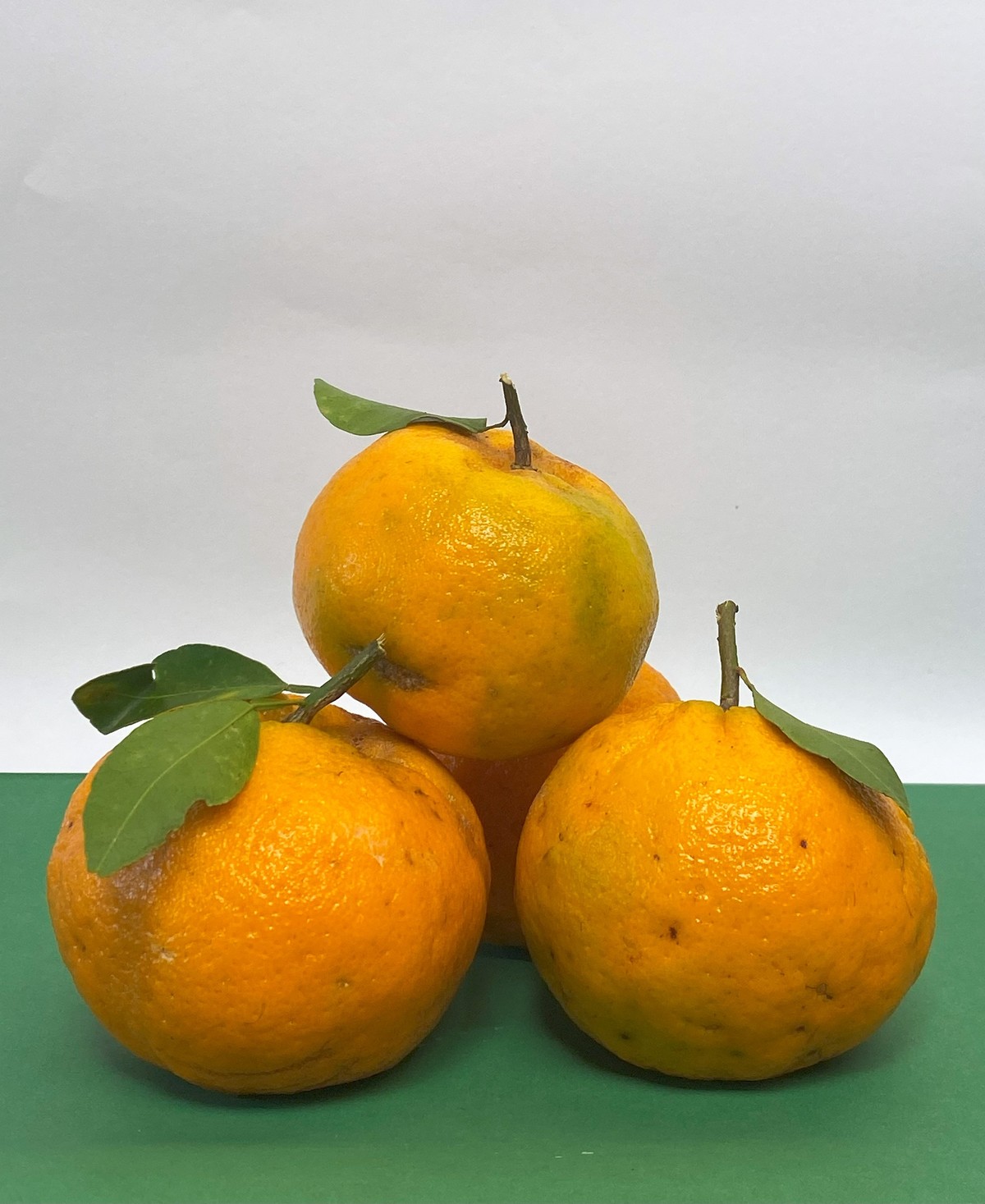 Foto gerada na parte prática da oficina. 