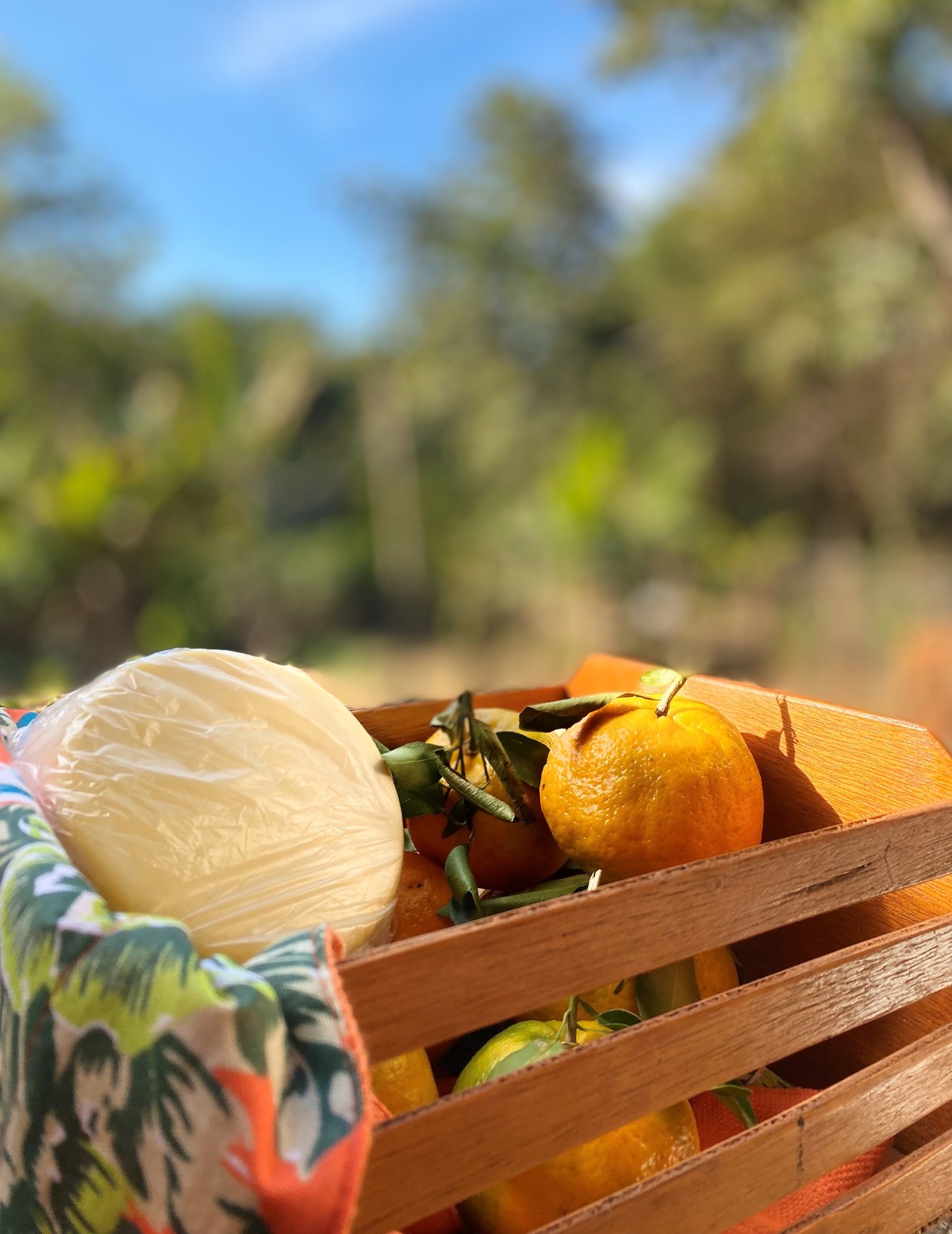 Foto gerada pela participante da oficina de fotografia. 