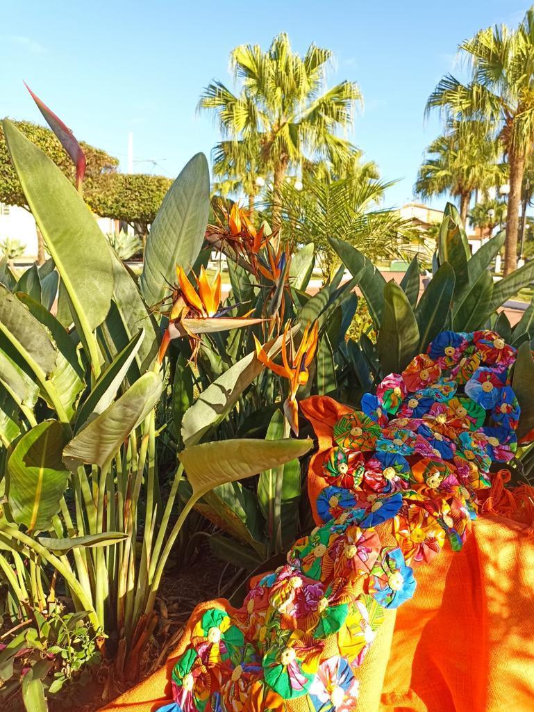 Foto gerada por participante da oficina de Fotografia após a realização da mesma. 