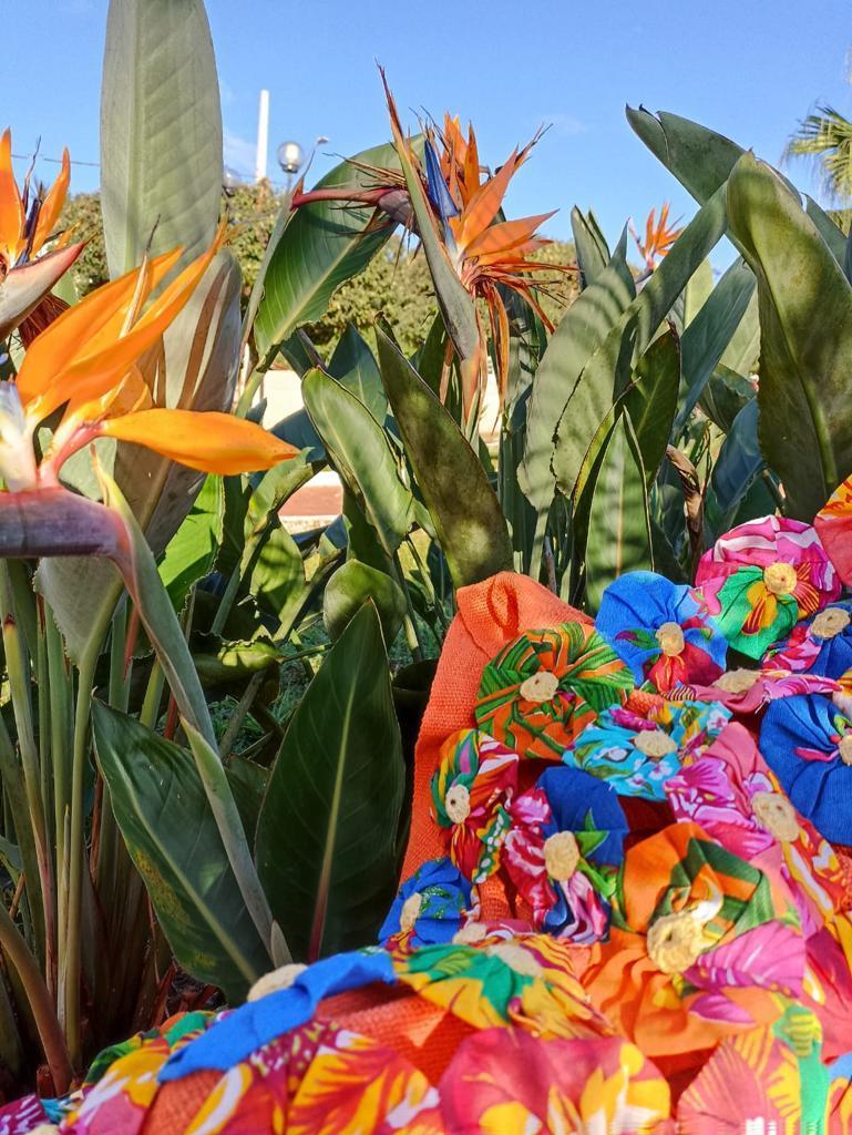 Foto realizada por integrante da AFAGO para divulgação nas redes sociais. 