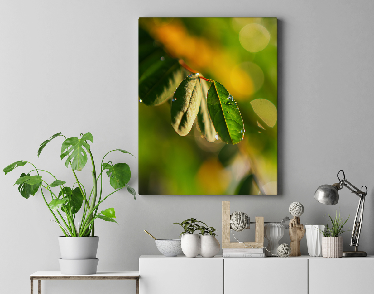 foto decora minimalista 
