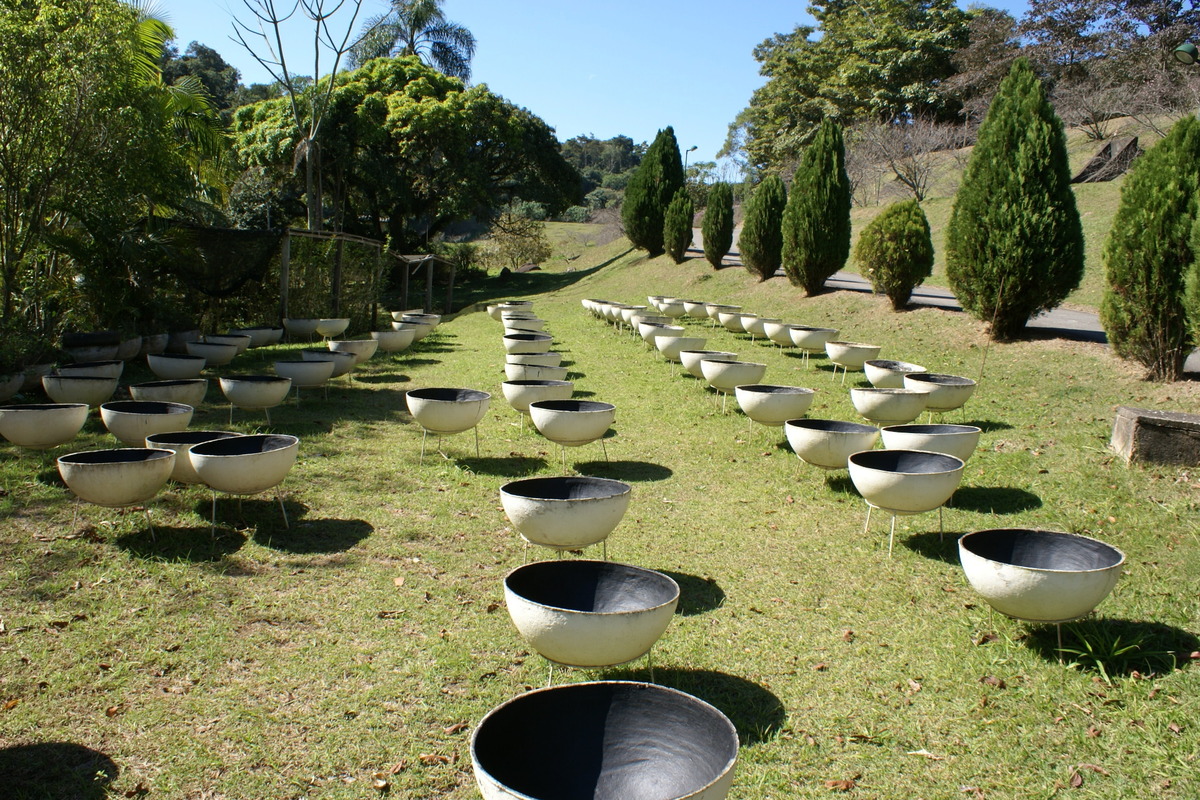 Ensaio
