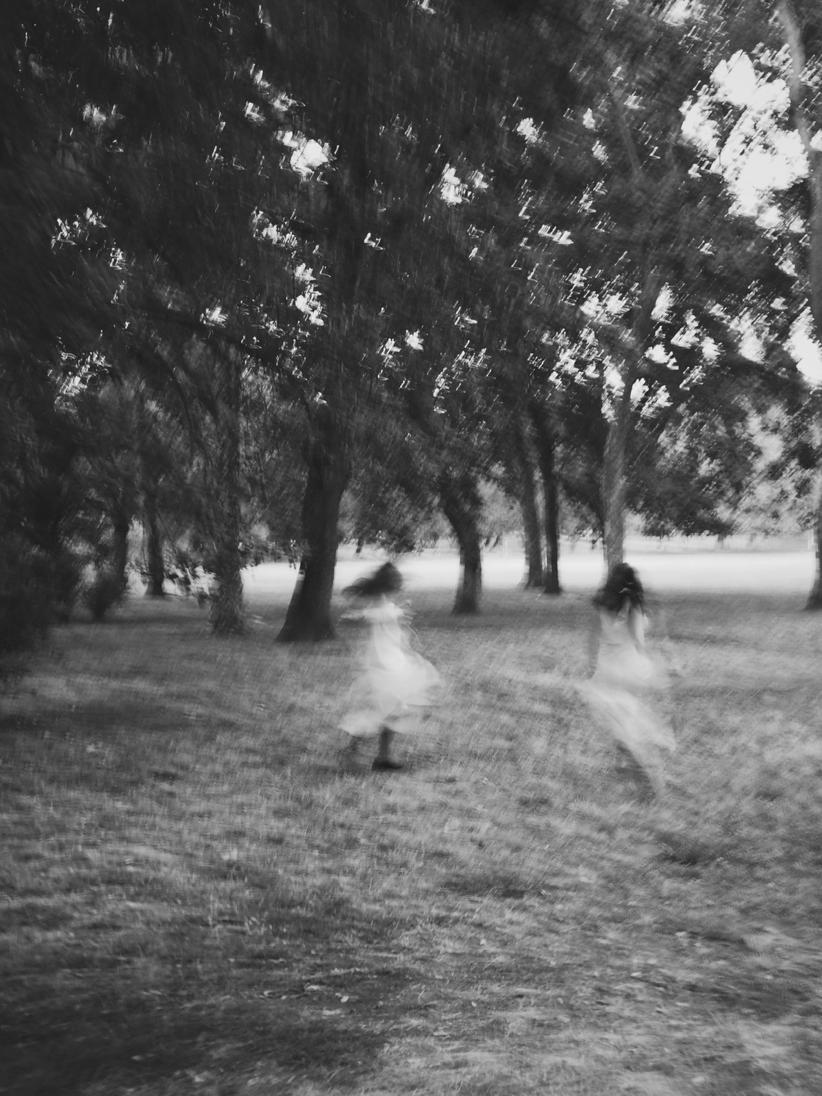 © Laura Toscano