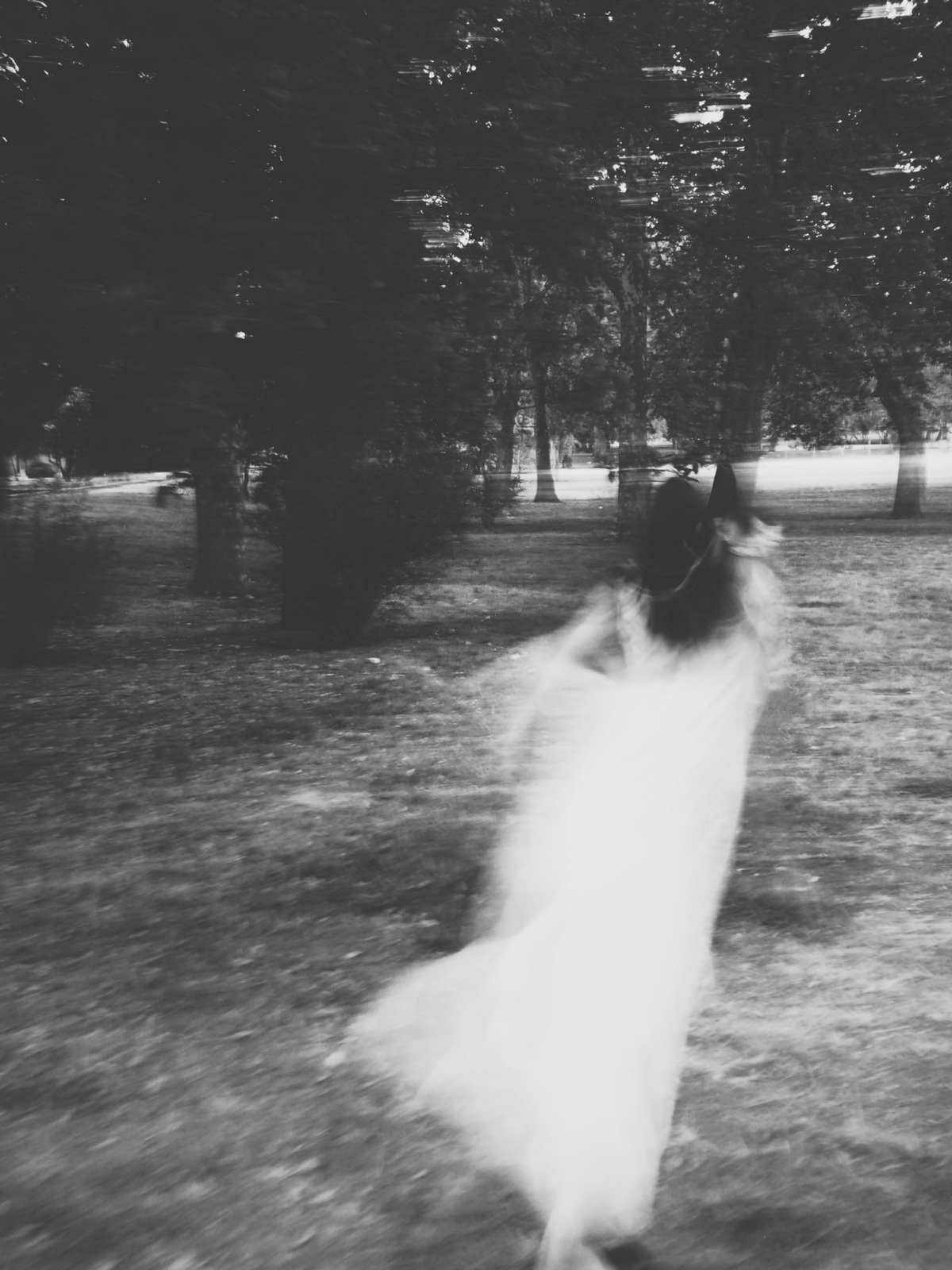 © Laura Toscano