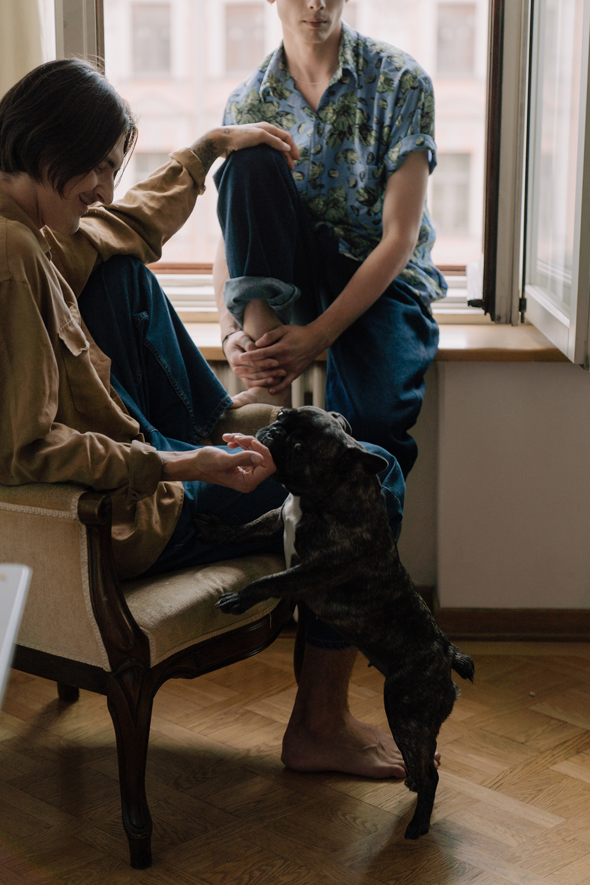 Tema para sites de ensaios Alboom pro