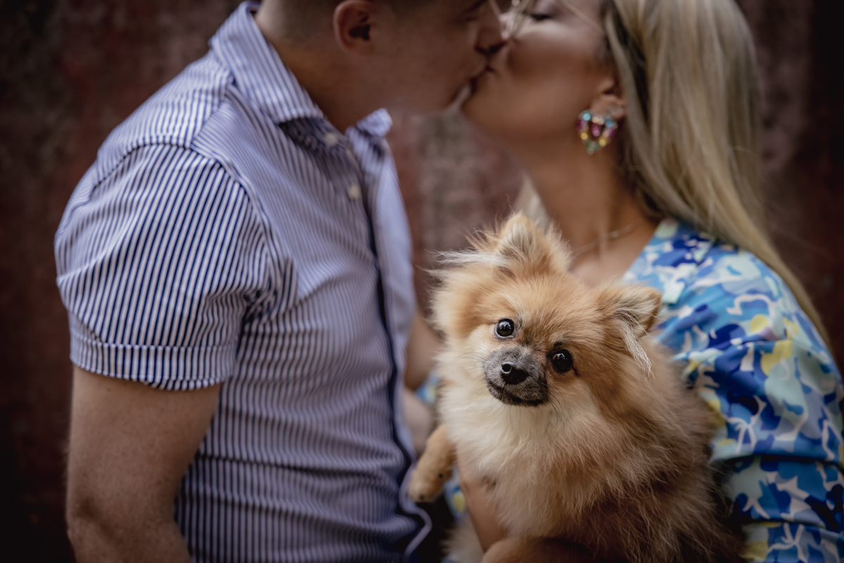 Sessão solteiros, Pré-wedding, 