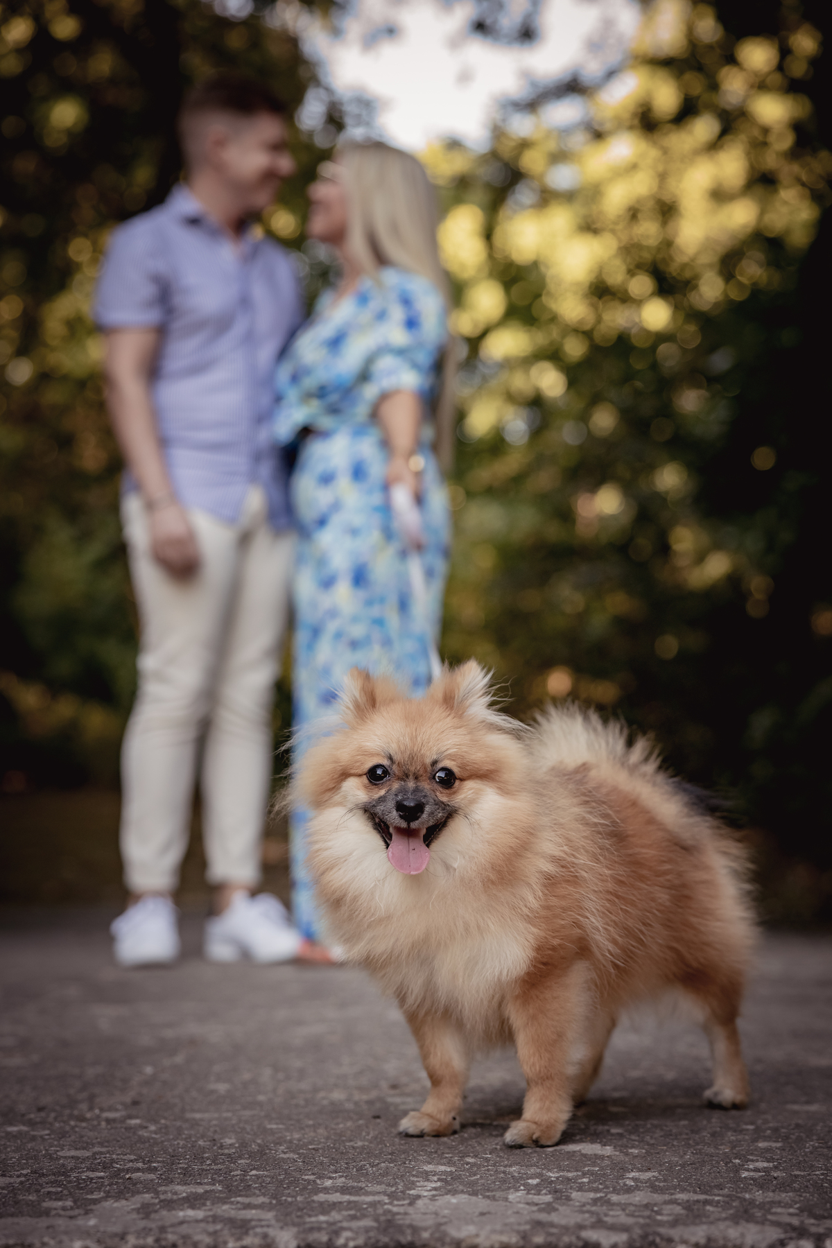 Sessão solteiros, Pré-wedding, 