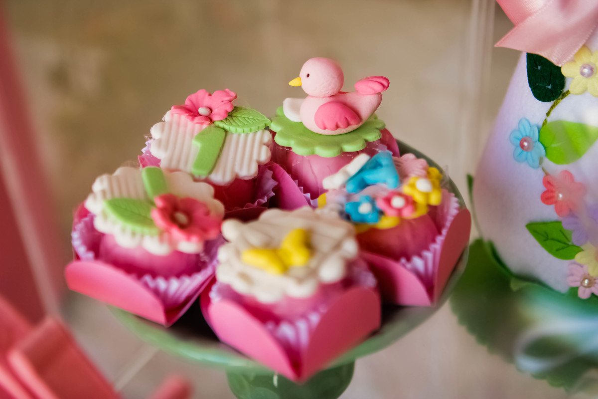 Fotografia_Festa_Infantil_BH