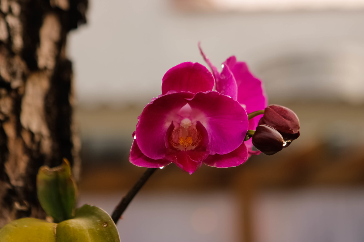 Fotografia_Casamento_Balneário_Camboriu