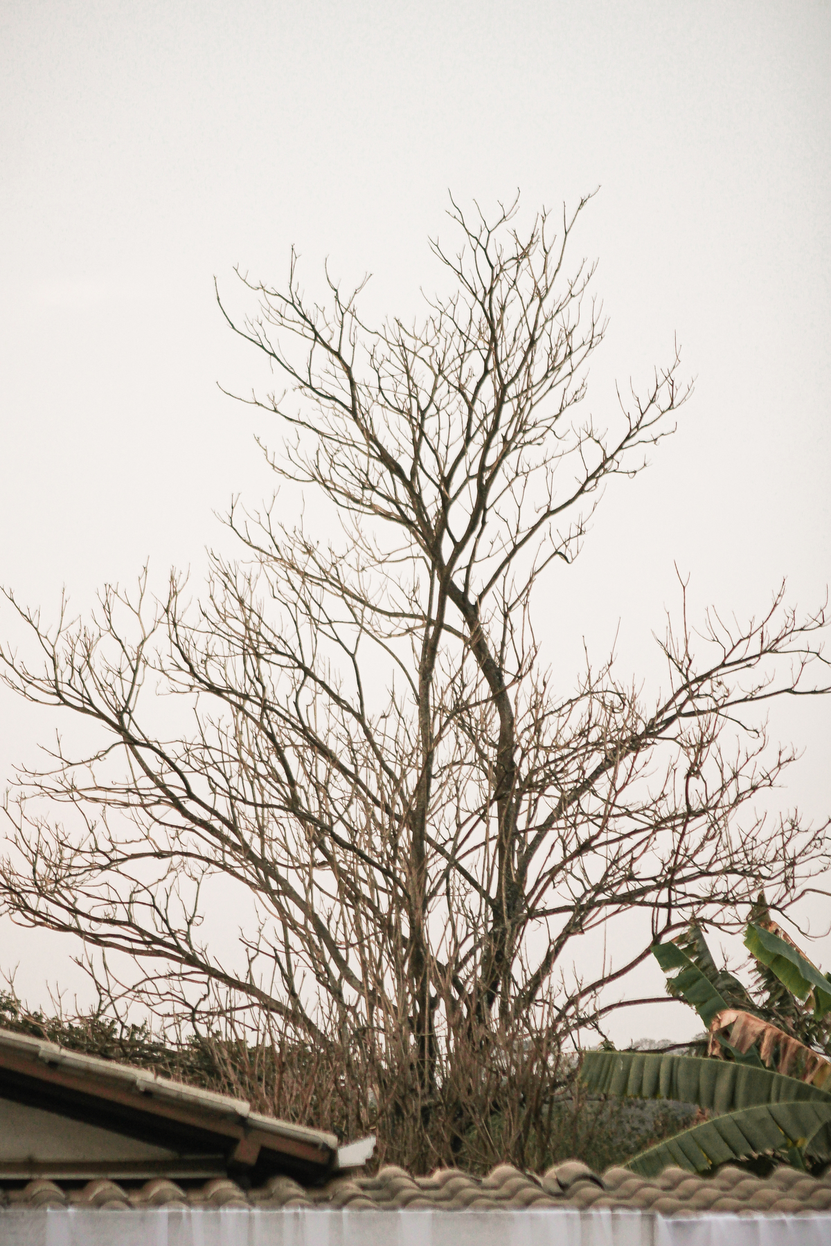 Fotografia_de_casamento_Vespasiano_MG