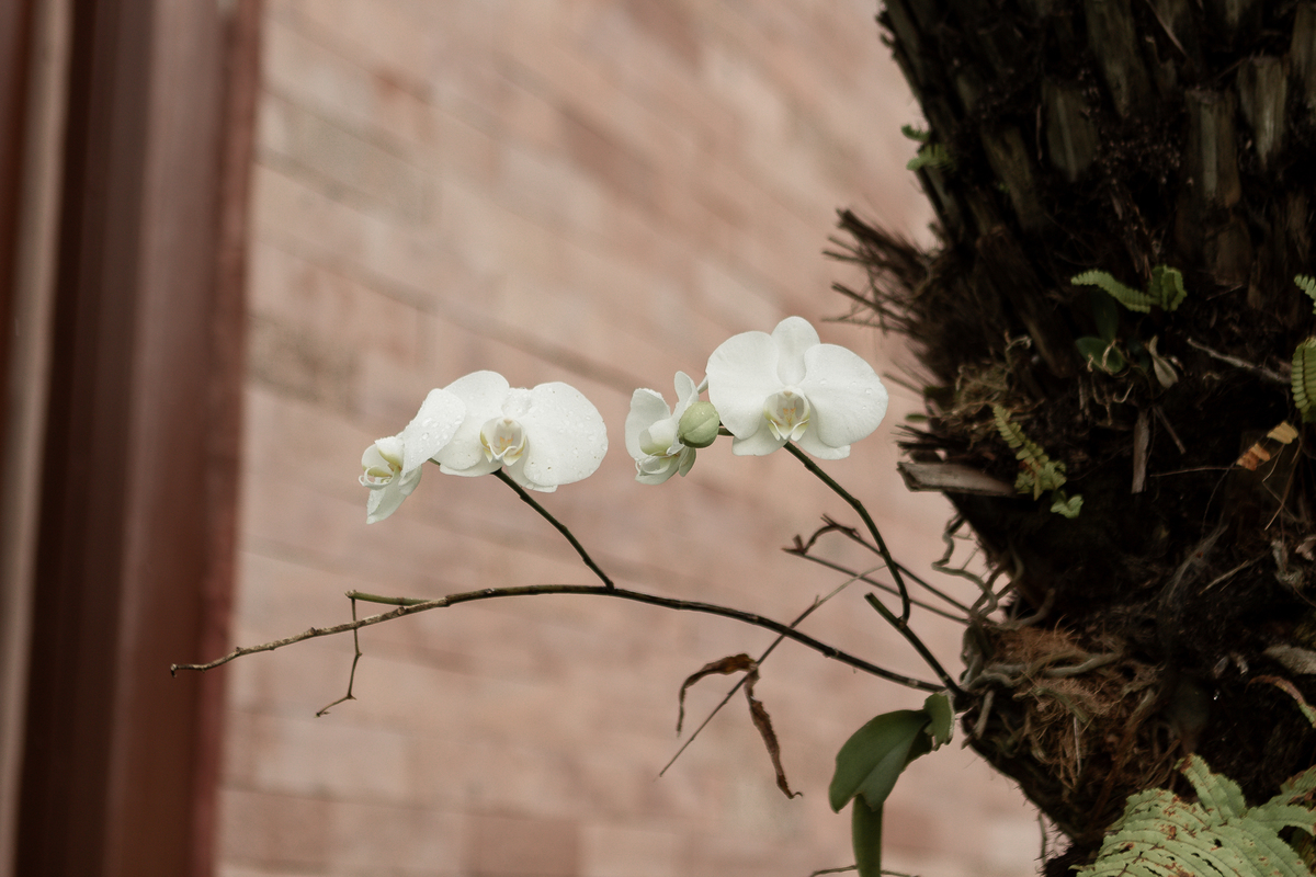 Fotografia_de_Casamentos_Espaço_jatobá_Caeté