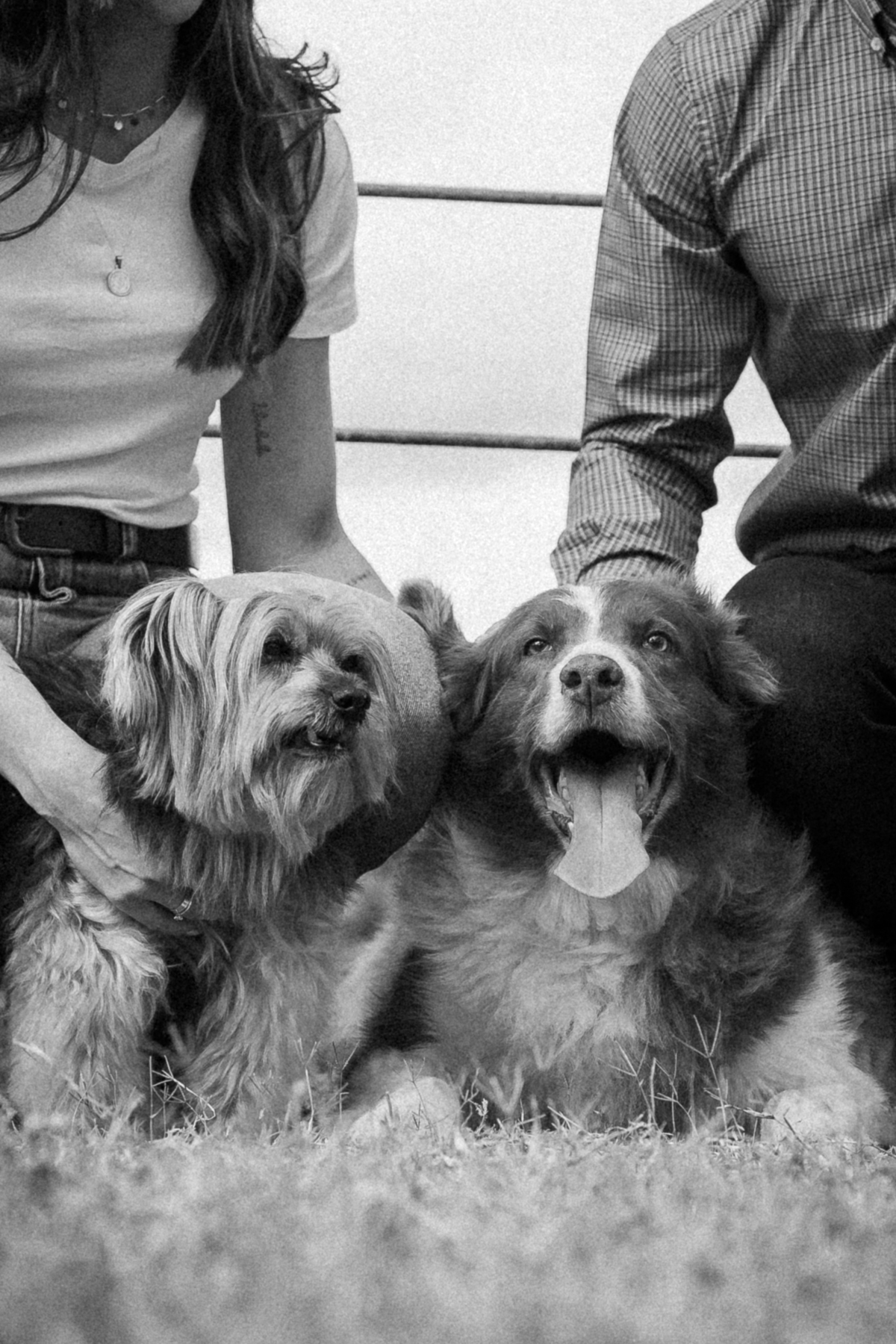 Fotografia_casamento_Pré-wedding_BH