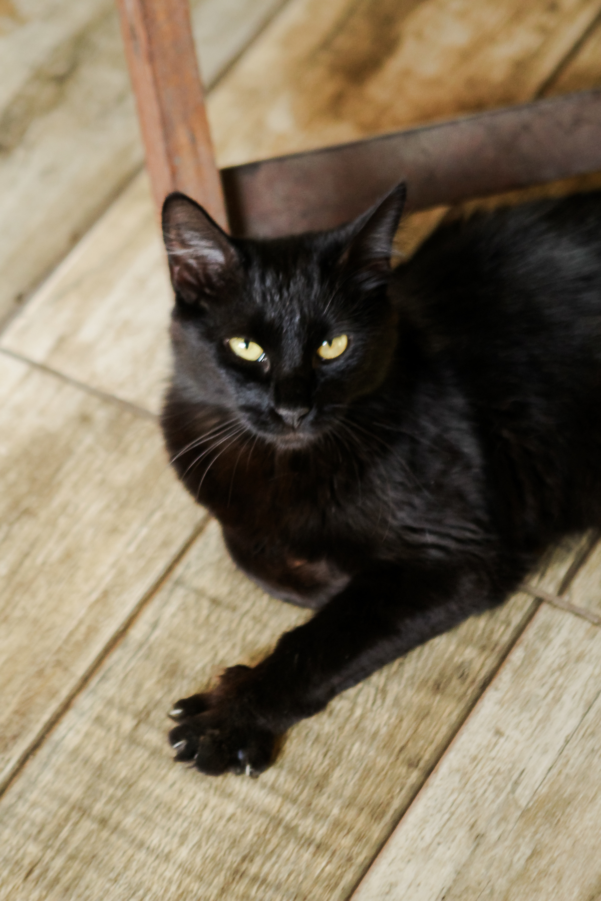 Fotografia_de_casamentos_em_BH