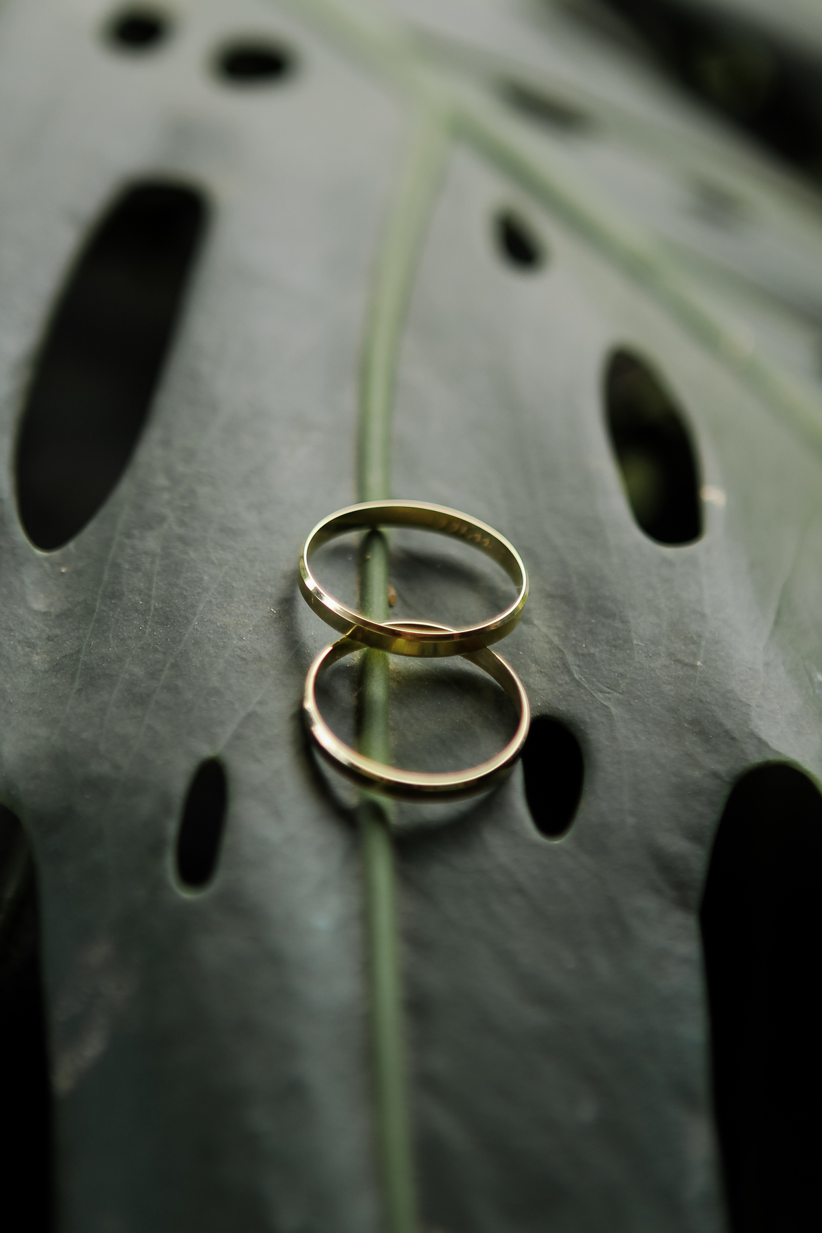 Fotografia_de_casamentos_em_BH