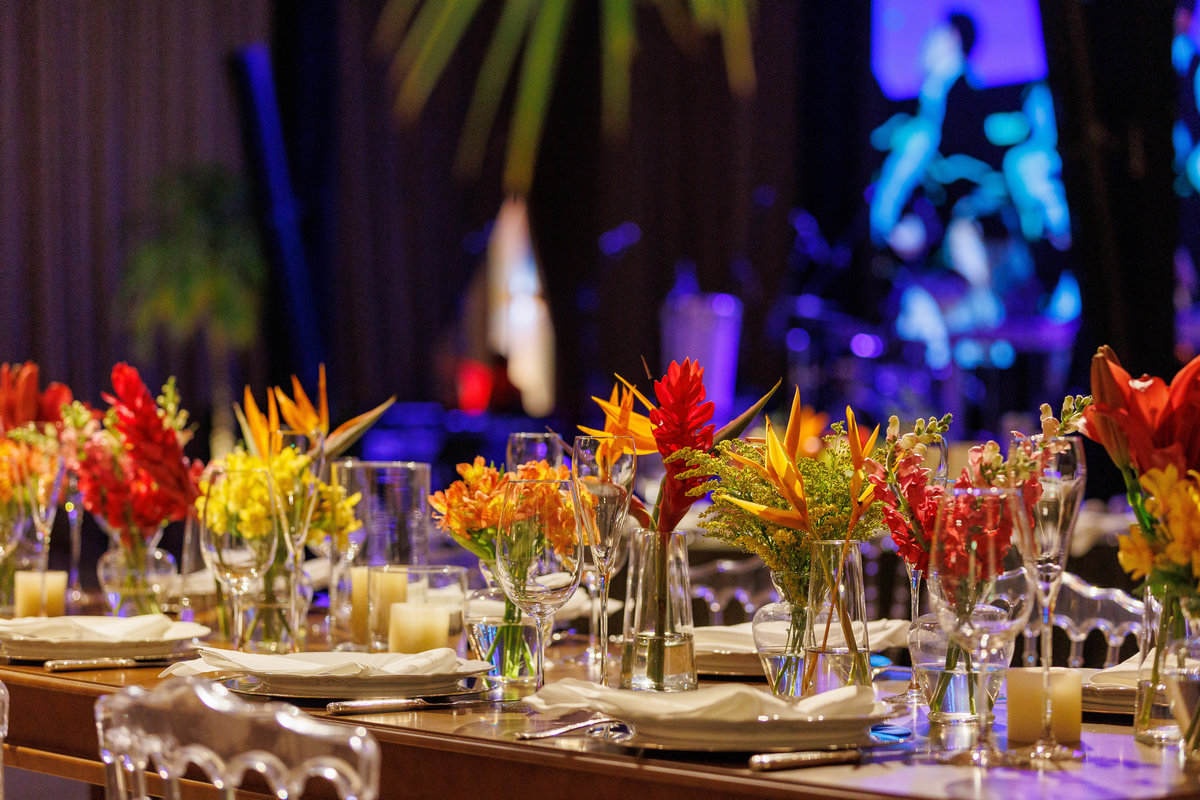 Festa de Formatura de Medicina