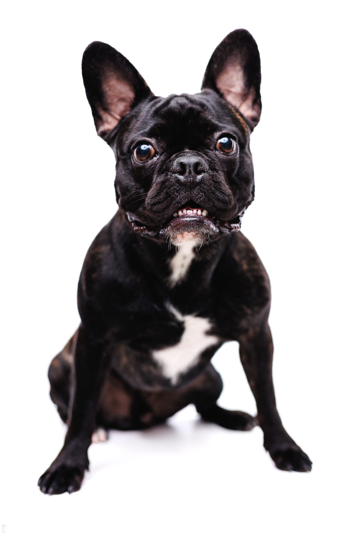 Ensaio de Formatura Anna Caroline Gomes- Pedagogia PUCPR