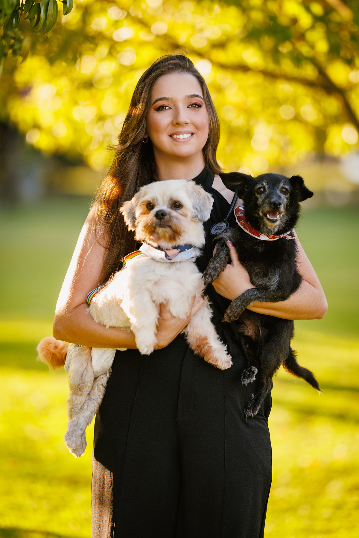 Ensaio Medicina Veterinaria