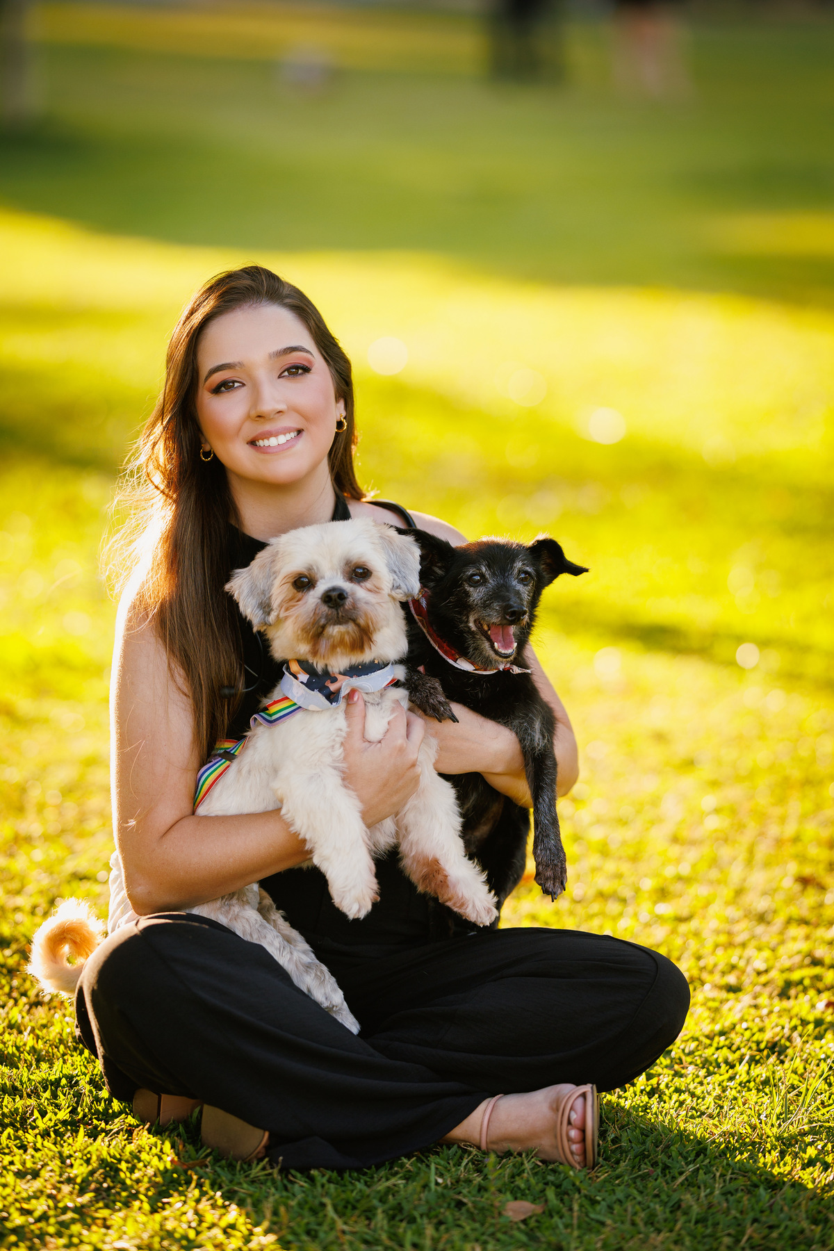 Ensaio Medicina Veterinaria