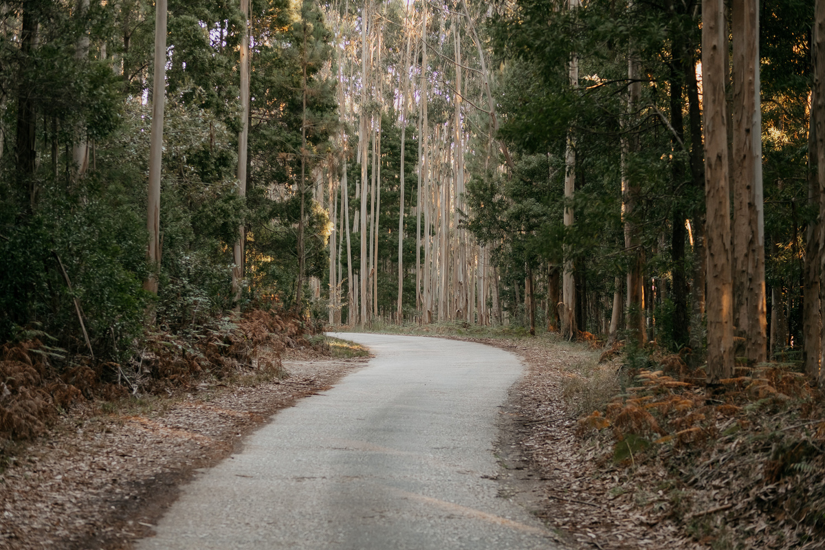 serra da boa viagem da Figueira da Foz